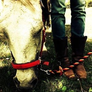 Meet your Posher, Robin